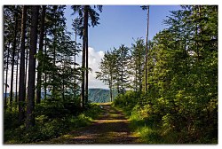 Obraz na stenu ZS - bez pomeru strán